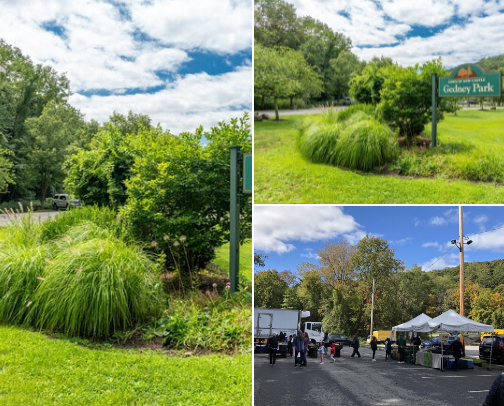 Outdoor activities around Westchester, NY cover photo collage
