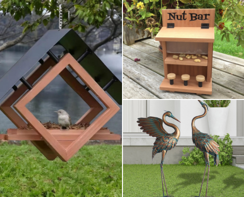 Everything for your backyard birds and friends cover photo collage