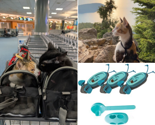 cats are a girl’s best friend cover photo collage