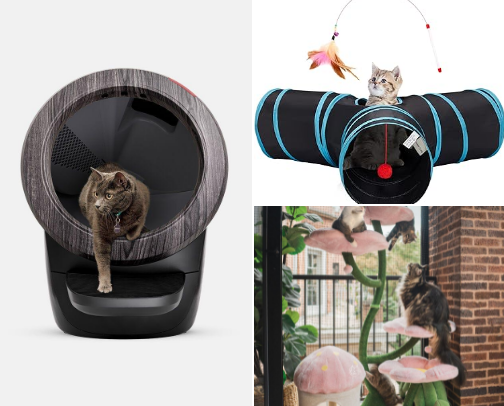 Cat Stuff That Lowkey Saved My Life cover photo collage