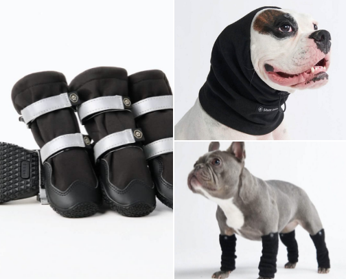 Winter Dog Gear 🥶💙🐾 cover photo collage