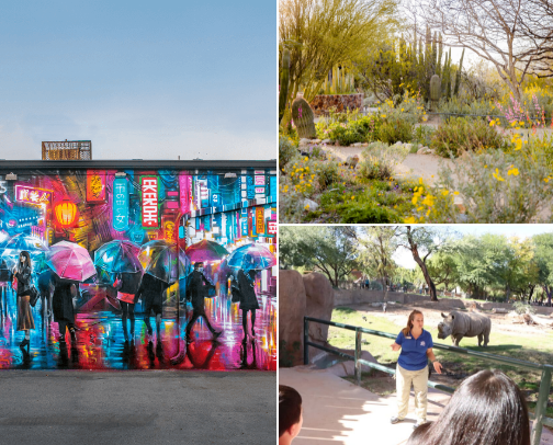What a Wonderful Places to Explore in Arizona! ✨ cover photo collage