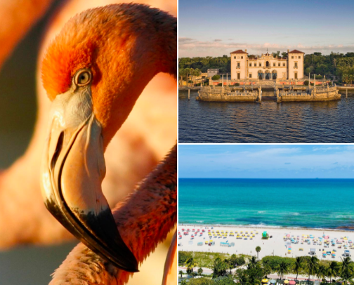 Top cool spots to visit in South Florida cover photo collage