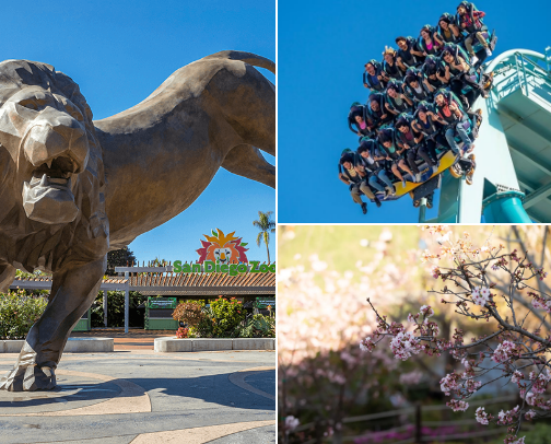 Places To Go In San Diego, CA! cover photo collage
