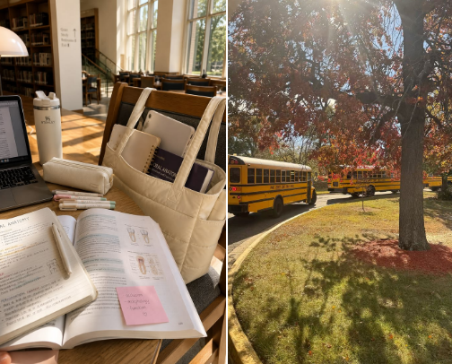 Back To School Essentials - Comfrt cover photo collage