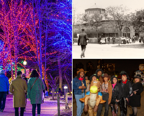 Things to do at the Zoo! cover photo collage