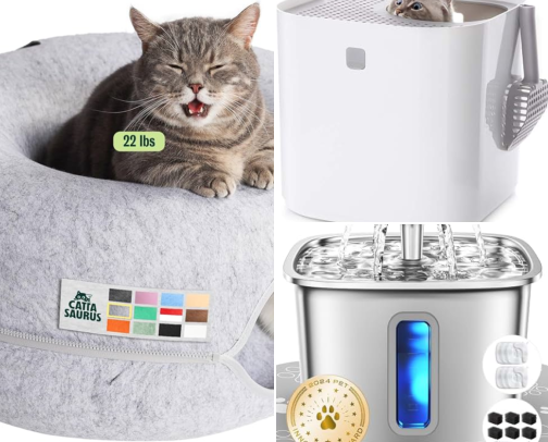 First-Time Cat Mom Essentials - Clean Home, Cozy Beds & Toys They Actually Use cover photo collage
