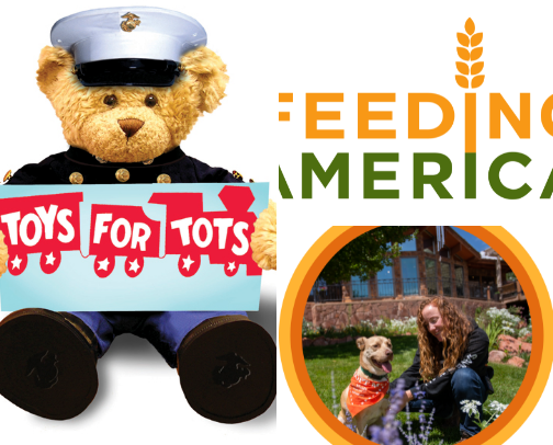 🎄From the Heart: Charities to Support This Holiday Season cover photo collage