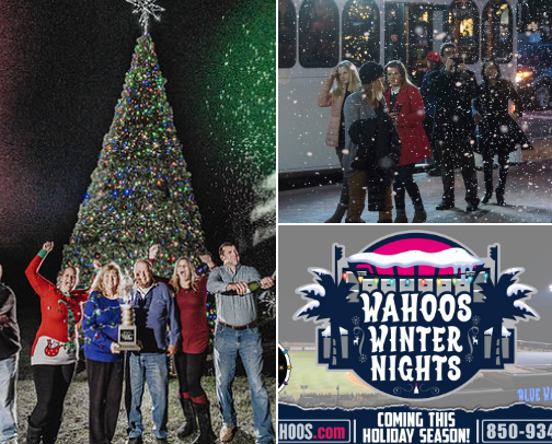 Holiday Things in NW FL! cover photo collage