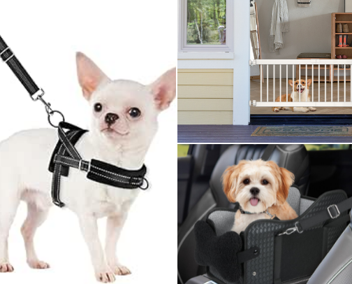 My Favorite Dog Products cover photo collage