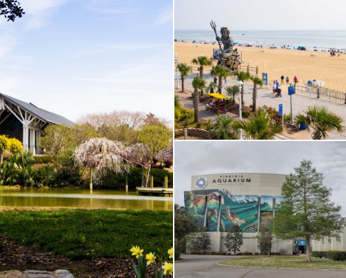 Things to do: VB & Norfolk cover photo collage