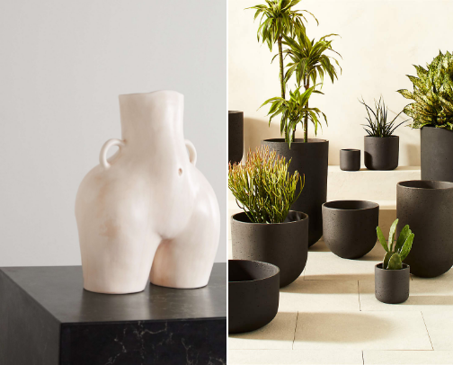 💎Luxe Chaos: High-End Finds for Plant🪴 Lovers Who Grow Wild cover photo collage