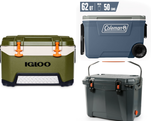 I Finally Found a Portable Cooler That Keeps Ice Frozen All Day at the Beach cover photo collage