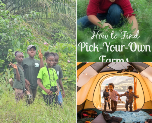 Easy family weekends: 14 free(ish) ideas for kids 4 to 10 cover photo collage