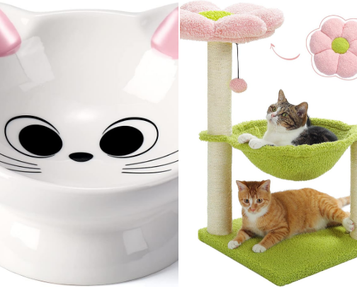 Stuff I own as a cat/dog mom ૮・ﻌ・ა✶⋆.˚ cover photo collage