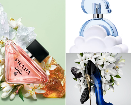 Scents that leave a lasting impression on all who experience them. cover photo collage