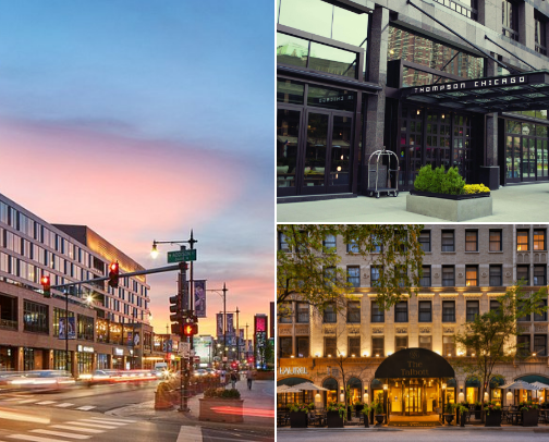 Best Pet Friendly Hotels- Chicago cover photo collage