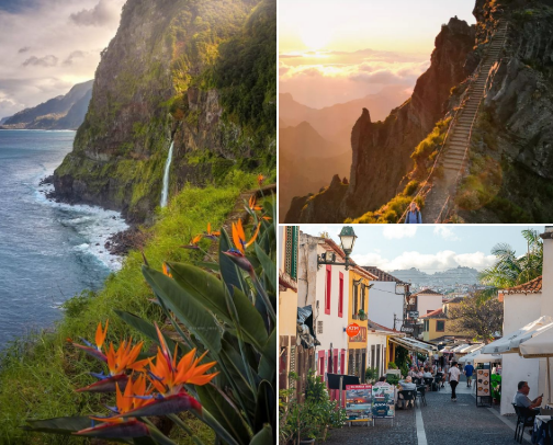 Madeira 101: Top Aparthotels & Glamping Sites for 2026 cover photo collage
