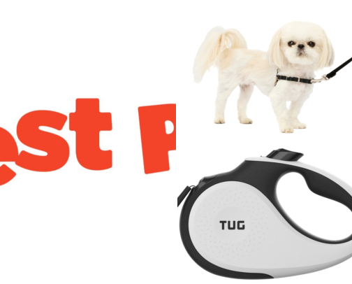 Pet Care cover photo collage