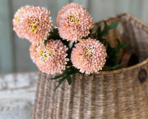 Spring Decor cover photo collage