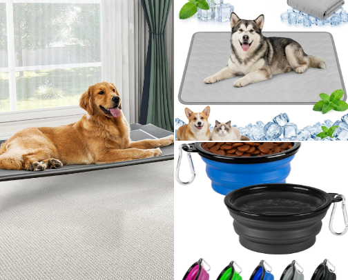 Pet Essentials for the Florida Heat: Must-Haves for Dogs & Cats cover photo collage