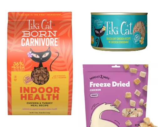 four legged friend approved🐈🦴🦎🐾 cover photo collage