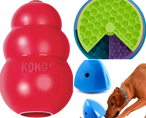 Calming enrichment tools for dogs from a vet nurse view cover photo collage