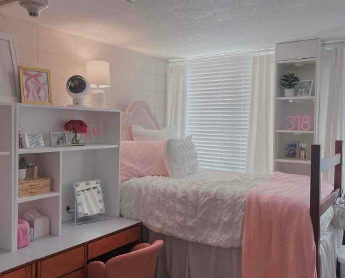 My college move in. The essentials! cover photo collage