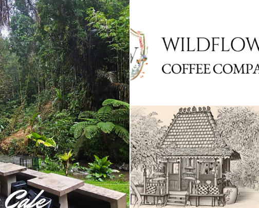 Bali's Hidden Gem Coffee Shops: 10 Cozy Spots You Need to Chill At ✨ cover photo collage