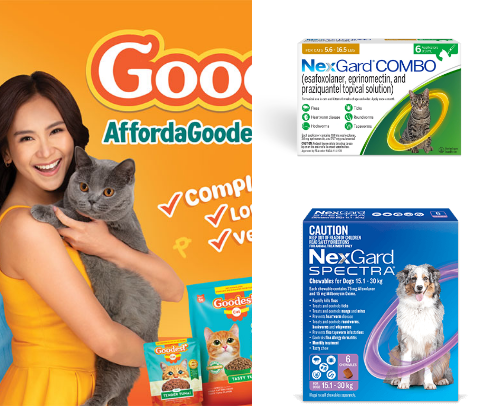 Pet Care Finds That Keep My Fur Babies Happy and Healthy! cover photo collage
