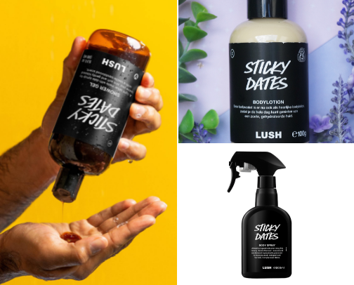 Sweater-Weather Heaven: Your Survival Guide For All Things Fall🧸🧺☕️ cover photo collage