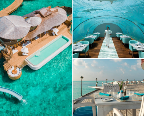 Best Vacation Ever – Maldives, a Paradise on Earth 🌴✨ cover photo collage