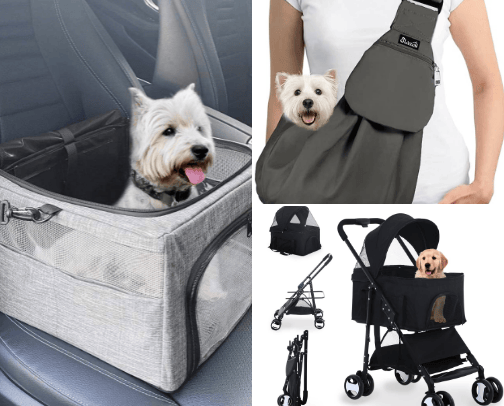 Cool gear-Accessories 🐩🐾 cover photo collage