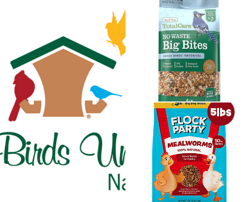 Backyard Bird-feeding Essentials cover photo collage
