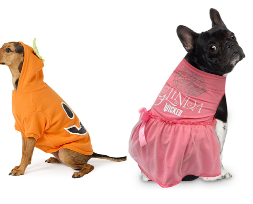 Halloween Products for the Dogs cover photo collage