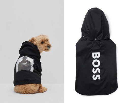 Dog clothes cover photo collage
