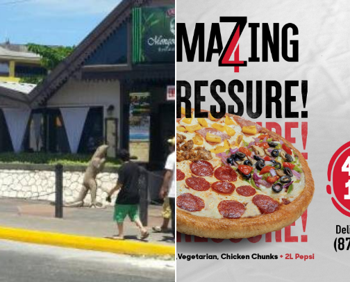 My top local recs cover photo collage