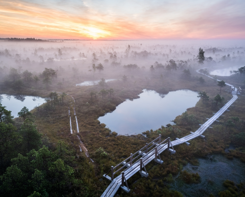 nature trails in Latvia cover photo collage