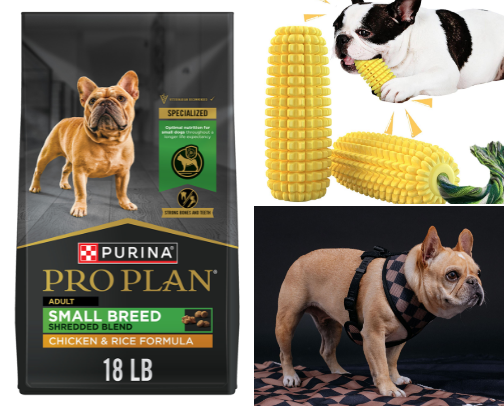 Top french bulldog essentials for ultimate Frenchie owner status! cover photo collage