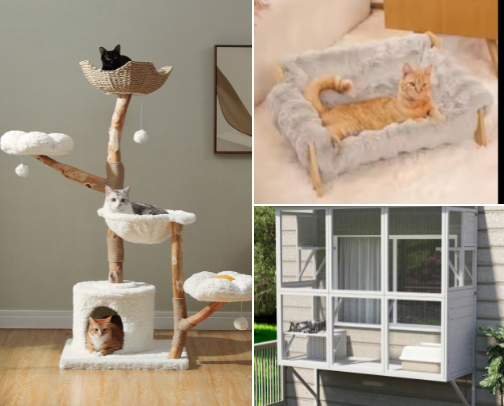 Pets, amados y consentidos 🐈🐶🐱🐾🐾🐾🐾 cover photo collage