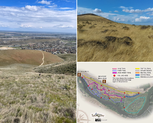 22 Things to Do in Tri-Cities, WA: From Hikes to Hidden Gems cover photo collage