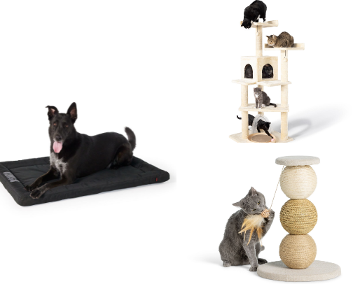 Pets 🐾 cover photo collage
