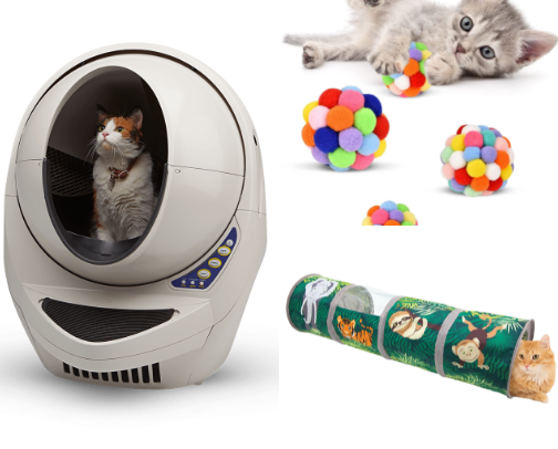 Kitties! 🐾🐱😺 cover photo collage