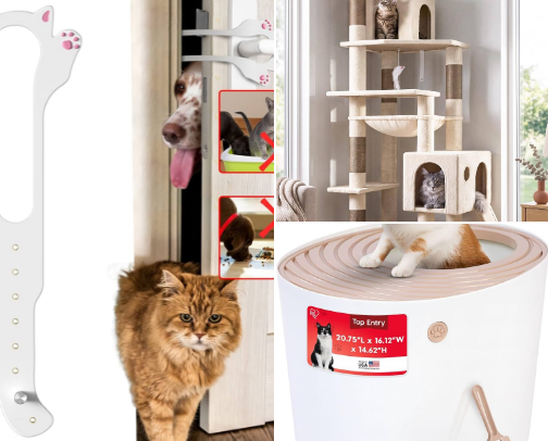 🐱 Purr-fect Picks cover photo collage