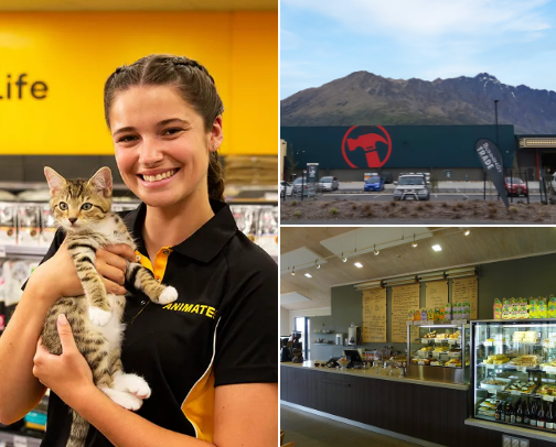 New Kitten cover photo collage