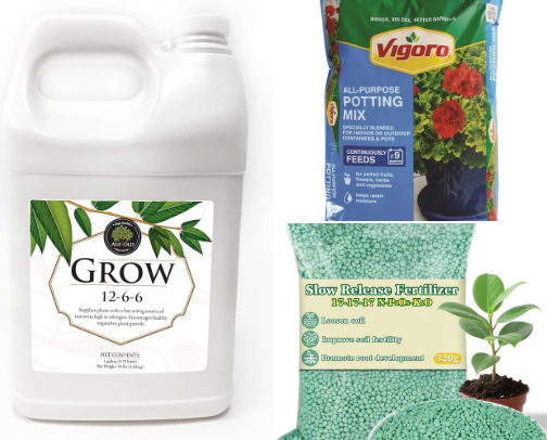 🌿 Plant Nutrition Essentials cover photo collage