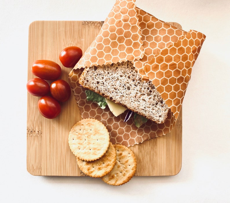 🌿START HERE 🌿        Sustainable Starter Kit cover photo collage