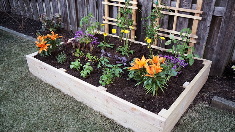 Gardening tools I need to succeed cover photo collage