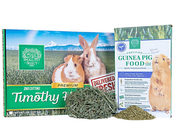 Food, Chews, & Treats for Guinea Pigs cover photo collage