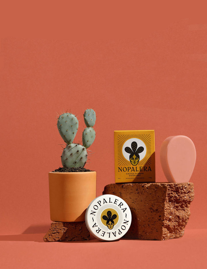 Low-tox Beauty Products that you will find in my home cover photo collage
